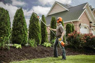 TREE CARE & PLANT HEALTH