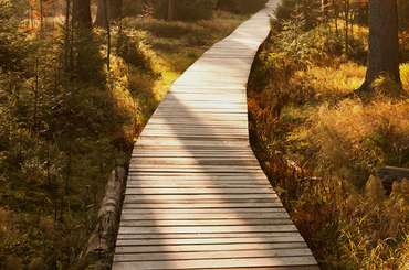 TRAIL BUILDING & CONSTRUCTION